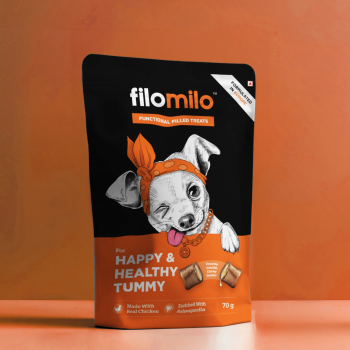 Healthy Dog Treats for Happy Tummies