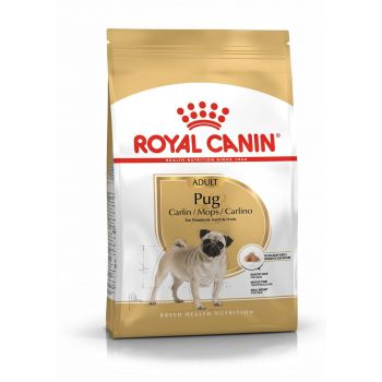 Royal Canin Pug Food for Adult Pugs