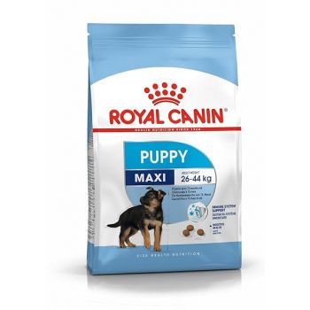 Royal Canin Maxi Puppy Dry Dog Food